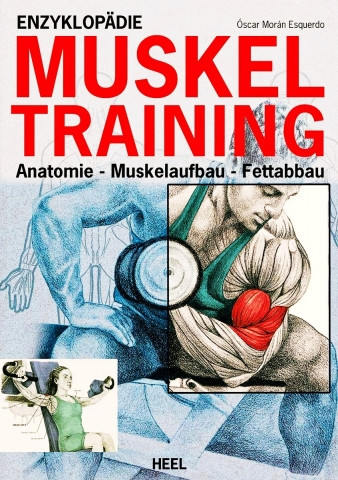 Enzyklopädie Muskeltraining